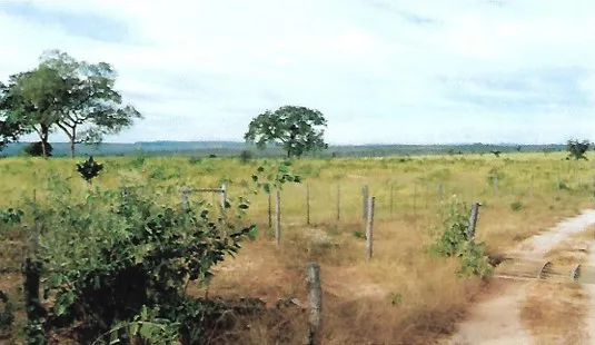 Fazenda em João Pinheiro/Minas Gerais — Ref GKPEY6 — Imagem 12