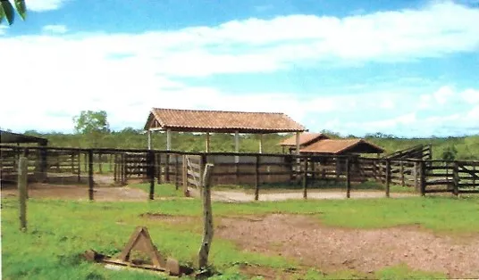 Fazenda em João Pinheiro/Minas Gerais — Ref GKPEY6 — Imagem 2