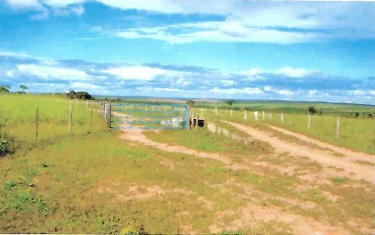 Fazenda em João Pinheiro/Minas Gerais — Ref GKPEY6 — Imagem 5