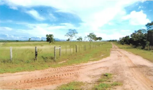Fazenda em João Pinheiro/Minas Gerais — Ref GKPEY6 — Imagem 7