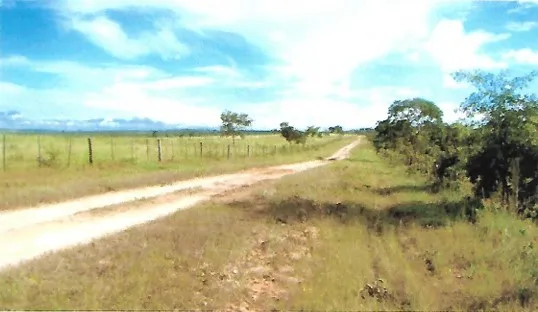 Fazenda em João Pinheiro/Minas Gerais — Ref GKPEY6 — Imagem 8