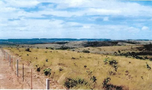 Fazenda em João Pinheiro/Minas Gerais — Ref GKPEY6 — Imagem 10