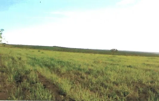 Fazenda em João Pinheiro/Minas Gerais — Ref GKPEY6 — Imagem 13