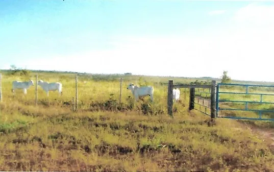 Fazenda em João Pinheiro/Minas Gerais — Ref GKPEY6 — Imagem 4