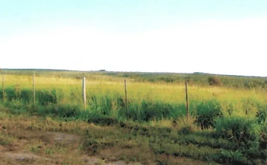 Fazenda em João Pinheiro/Minas Gerais — Ref GKPEY6 — Imagem 15