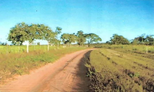 Fazenda em João Pinheiro/Minas Gerais — Ref GKPEY6 — Imagem 9