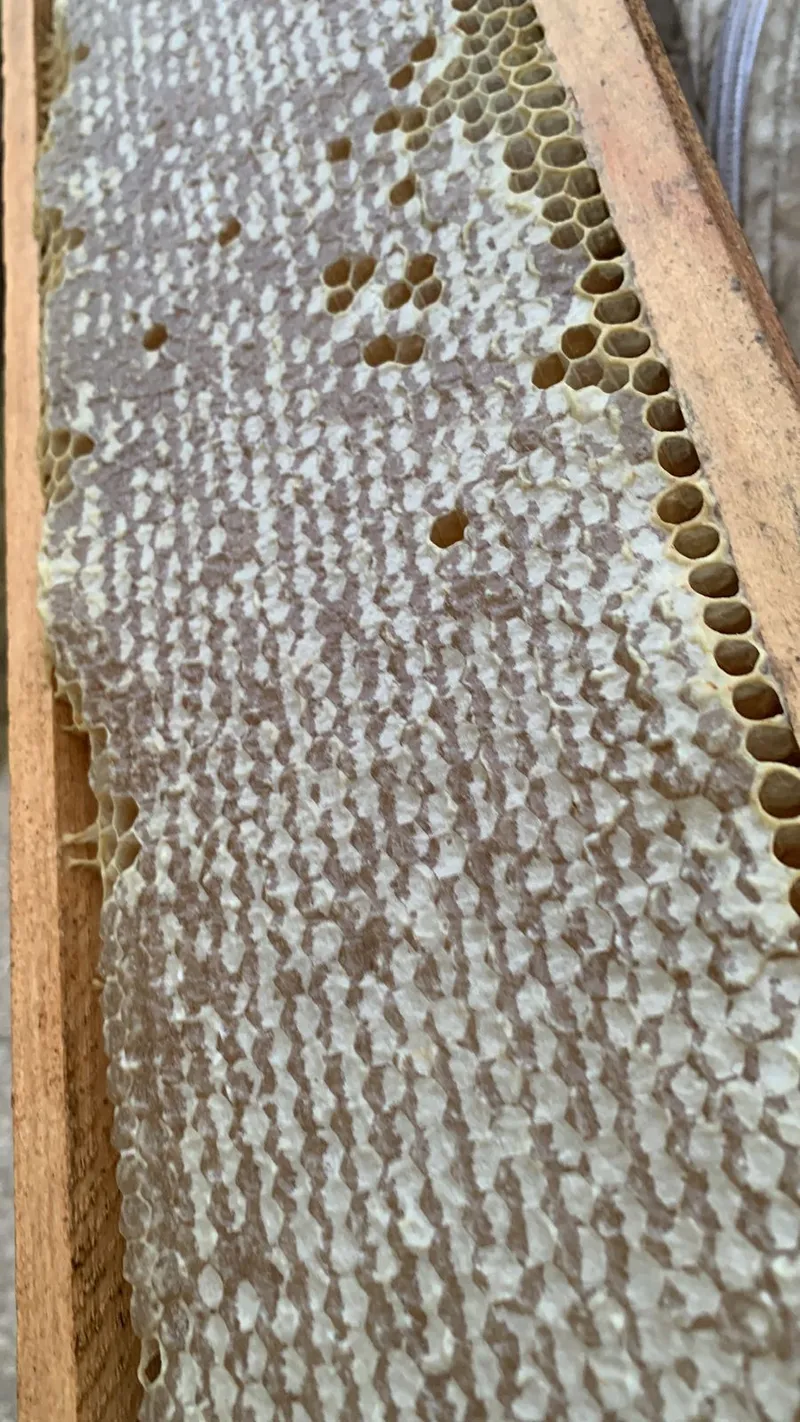 Sítio em Piedade/São Paulo — Ref X9A4Z4 — Imagem 20