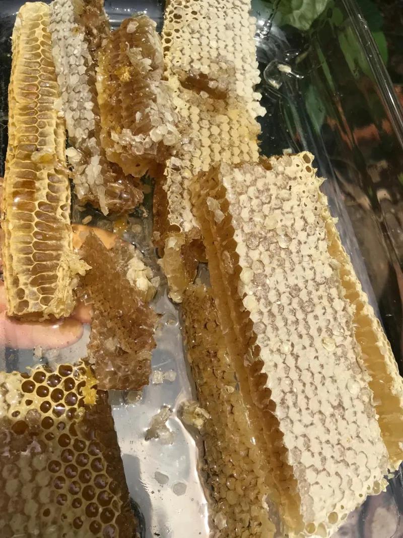 Sítio em Piedade/São Paulo — Ref X9A4Z4 — Imagem 19