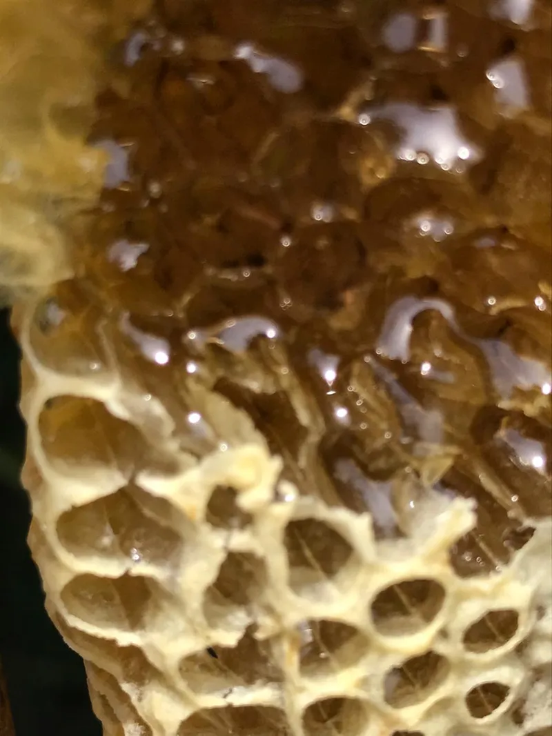 Sítio em Piedade/São Paulo — Ref X9A4Z4 — Imagem 36