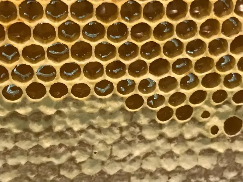 Sítio em Piedade/São Paulo — Ref X9A4Z4 — Imagem 37