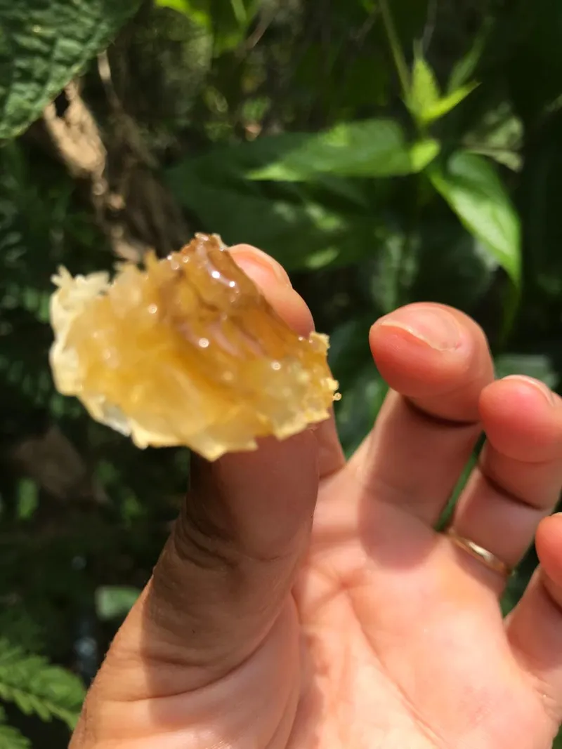 Sítio em Piedade/São Paulo — Ref X9A4Z4 — Imagem 17