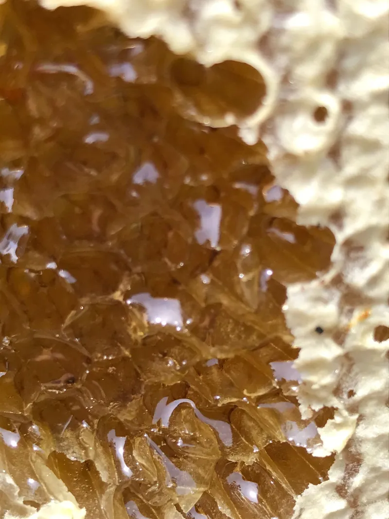 Sítio em Piedade/São Paulo — Ref X9A4Z4 — Imagem 41