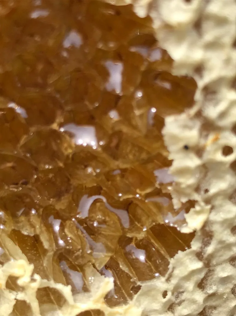 Sítio em Piedade/São Paulo — Ref X9A4Z4 — Imagem 42