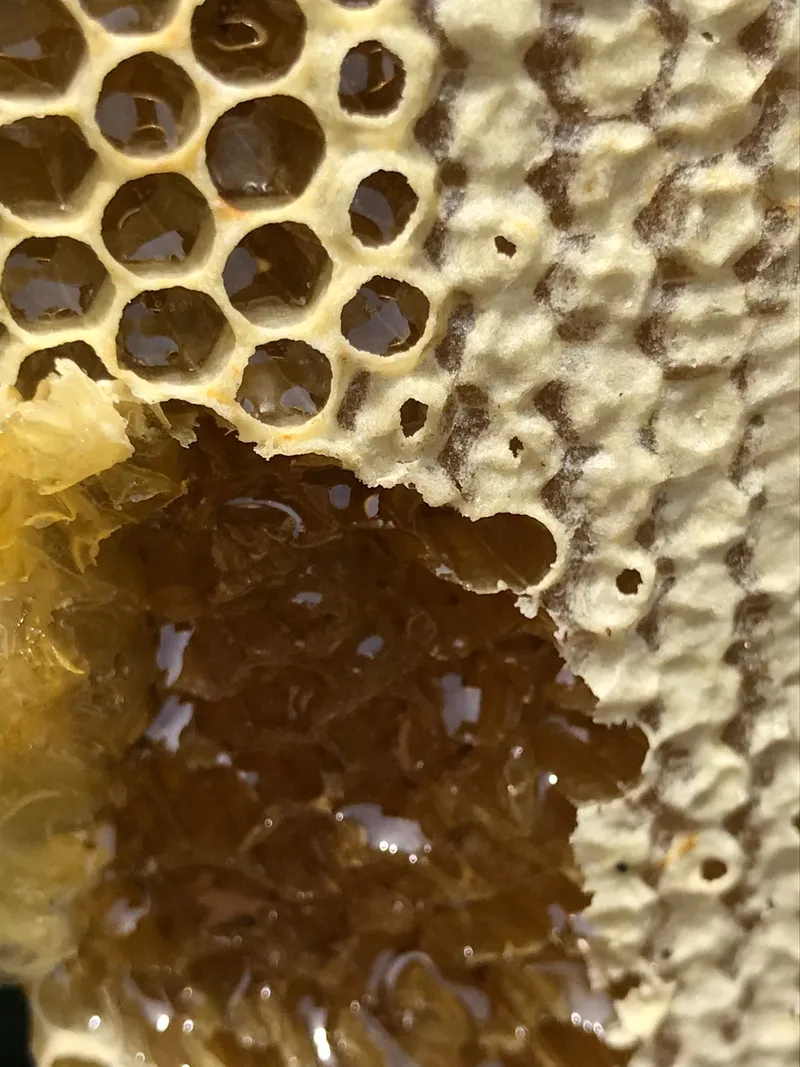 Sítio em Piedade/São Paulo — Ref X9A4Z4 — Imagem 43