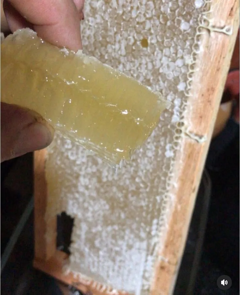 Sítio em Piedade/São Paulo — Ref X9A4Z4 — Imagem 18