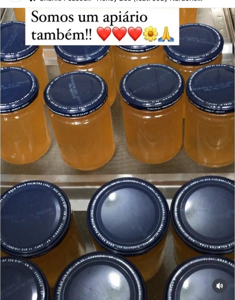 Sítio em Piedade/São Paulo — Ref X9A4Z4 — Imagem 23