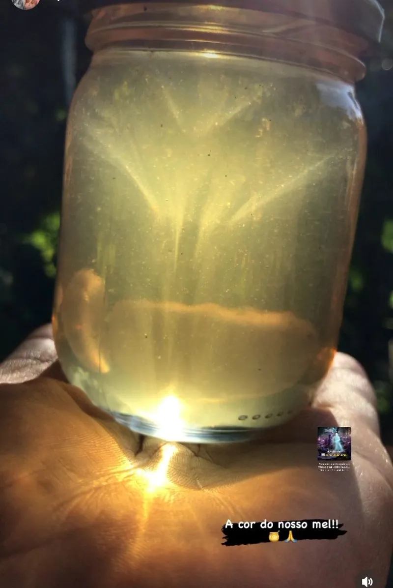 Sítio em Piedade/São Paulo — Ref X9A4Z4 — Imagem 24