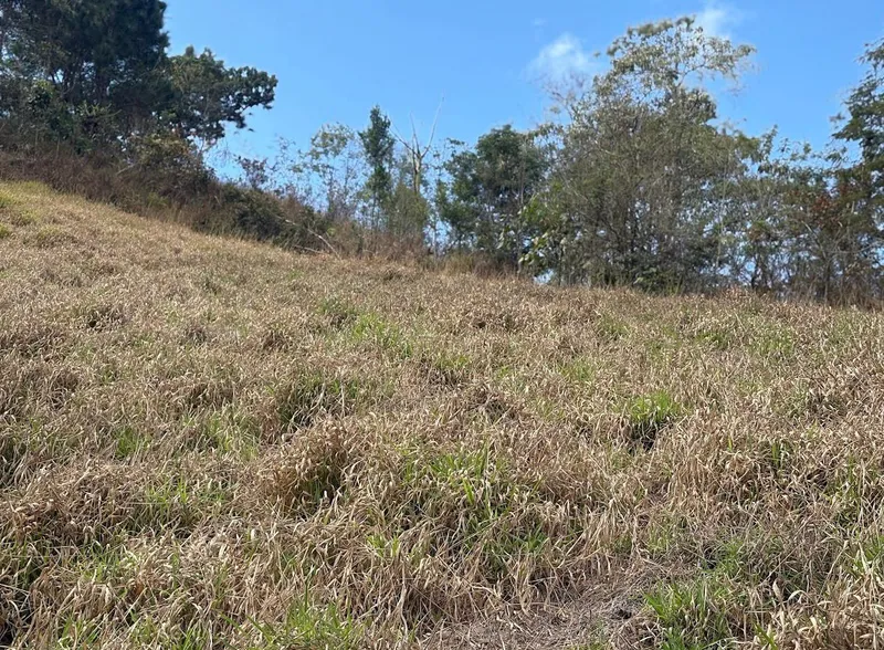 Sítio em Santo Antônio do Pinhal/São Paulo — Ref WBM3FH — Imagem 3