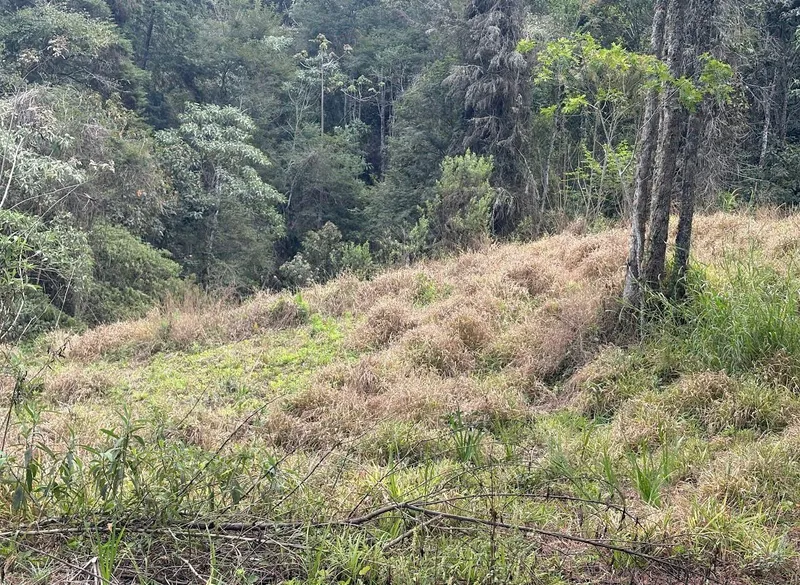 Sítio em Santo Antônio do Pinhal/São Paulo — Ref WBM3FH — Imagem 4