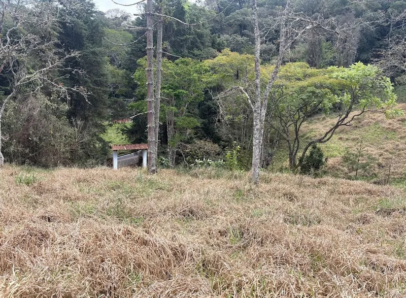 Sítio em Santo Antônio do Pinhal/São Paulo — Ref WBM3FH — Imagem 5