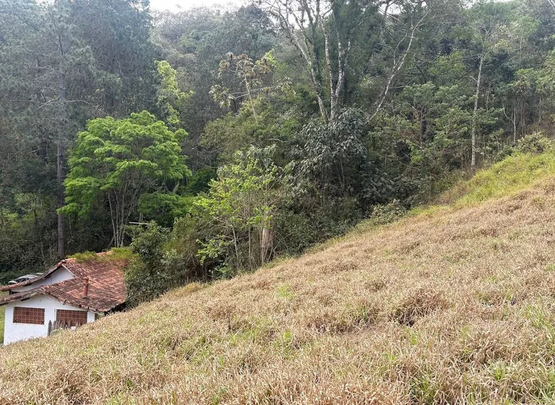 Sítio em Santo Antônio do Pinhal/São Paulo — Ref WBM3FH — Imagem 7