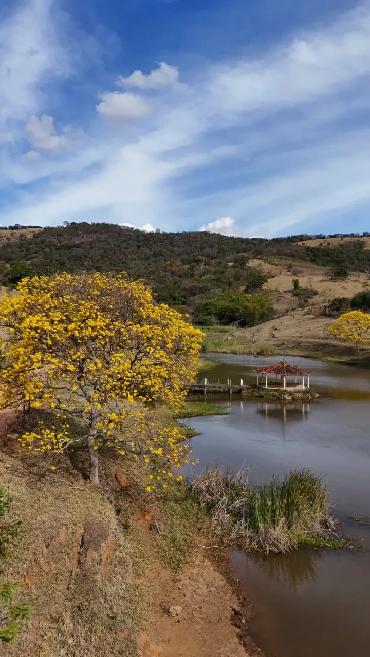Imóvel rural em Bueno Brandão/Minas Gerais — Ref 440NHX1