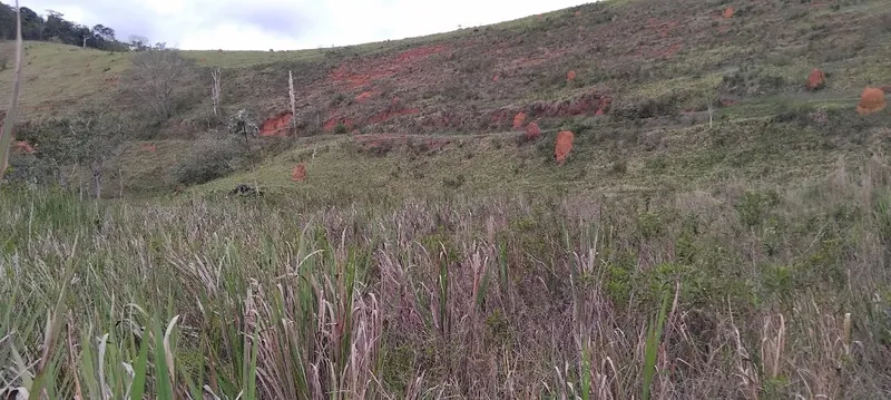 Fazenda em Juiz de Fora/Minas Gerais — Ref 162PDT — Imagem 24