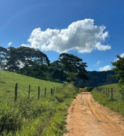 Fazenda em Juiz de Fora/Minas Gerais — Ref 162PDT — Imagem 36