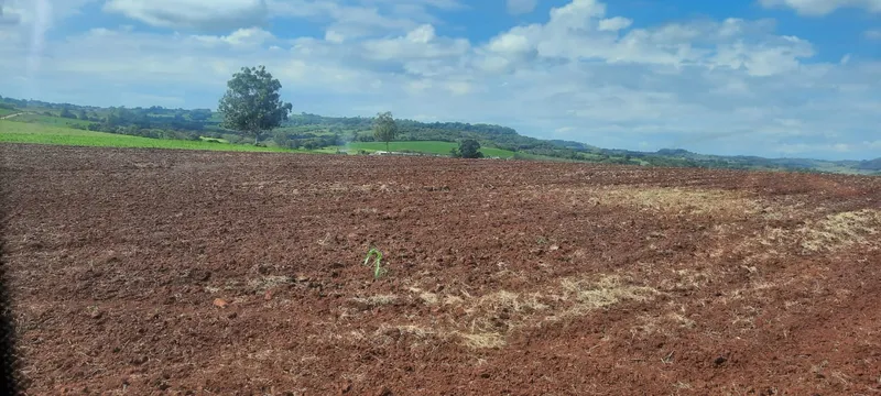 Imóvel rural em Leópolis/Paraná — Ref 23B34X1