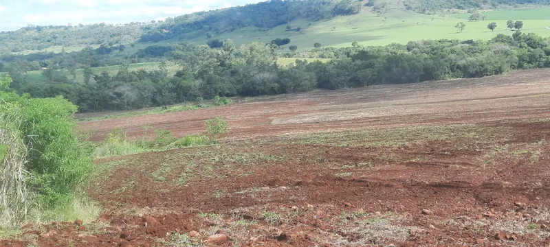 Fazenda em Leópolis/Paraná — Ref 23B34X — Imagem 5