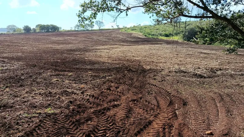 Fazenda em Leópolis/Paraná — Ref 23B34X — Imagem 2