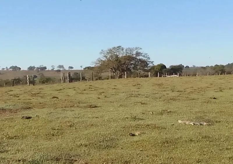 Fazenda em Ribas do Rio Pardo/Mato Grosso do Sul — Ref 9SGGPU — Imagem 2