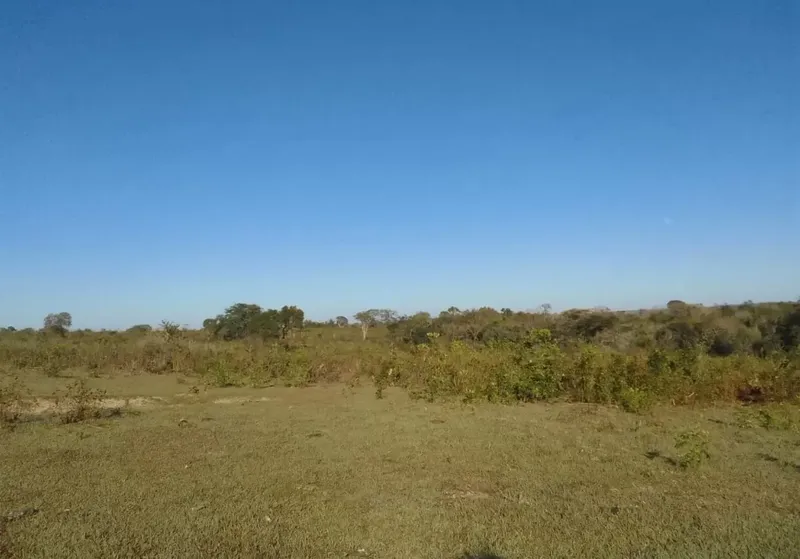 Fazenda em Ribas do Rio Pardo/Mato Grosso do Sul — Ref 9SGGPU — Imagem 3