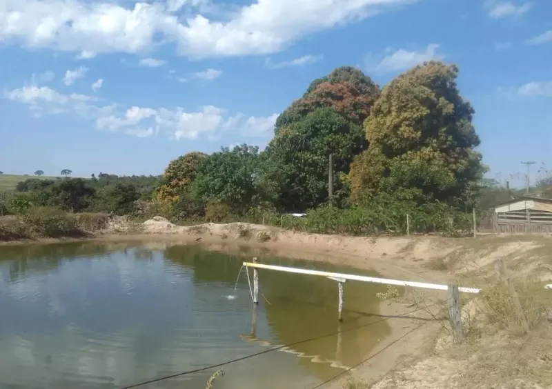 Fazenda em Ribas do Rio Pardo/Mato Grosso do Sul — Ref 9SGGPU — Imagem 5