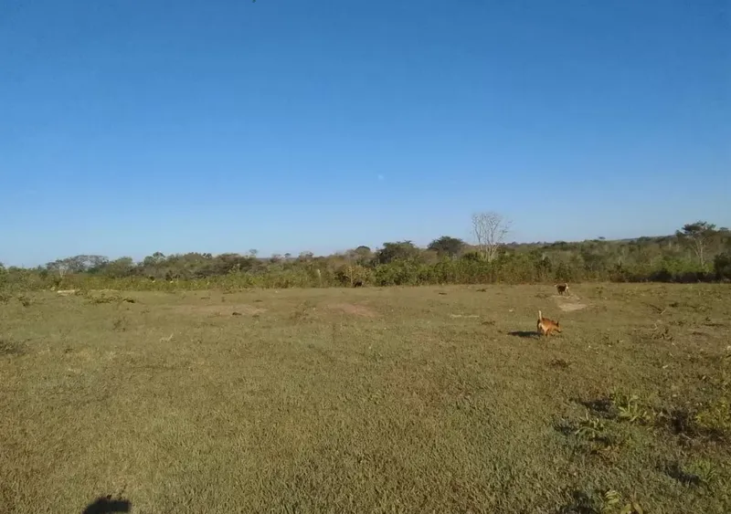 Fazenda em Ribas do Rio Pardo/Mato Grosso do Sul — Ref 9SGGPU — Imagem 4