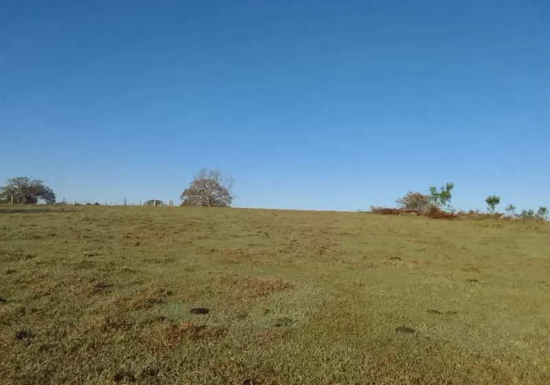 Fazenda em Ribas do Rio Pardo/Mato Grosso do Sul — Ref 9SGGPU — Imagem 7