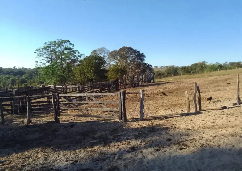 Fazenda em Ribas do Rio Pardo/Mato Grosso do Sul — Ref 9SGGPU — Imagem 8