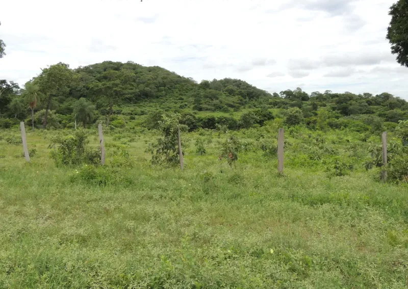 Fazenda em Porto Murtinho/Mato Grosso do Sul — Ref 6XRVN0 — Imagem 3