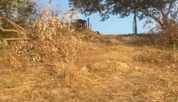 Fazenda em Corumbá/Mato Grosso do Sul — Ref QH94BJ — Imagem 5