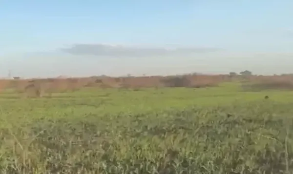 Fazenda em Corumbá/Mato Grosso do Sul — Ref QH94BJ — Imagem 3