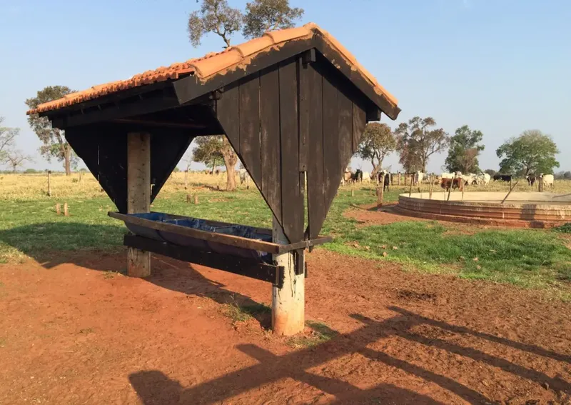Fazenda em Nova Alvorada do Sul/Mato Grosso do Sul — Ref ALRC3G — Imagem 2