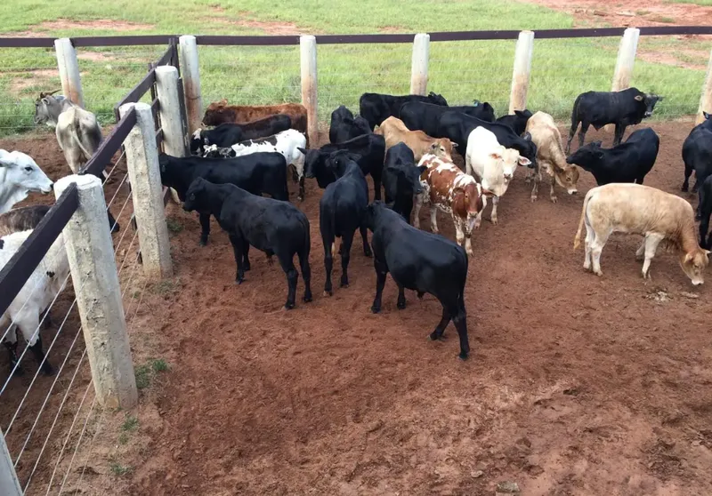 Fazenda em Nova Alvorada do Sul/Mato Grosso do Sul — Ref ALRC3G — Imagem 3