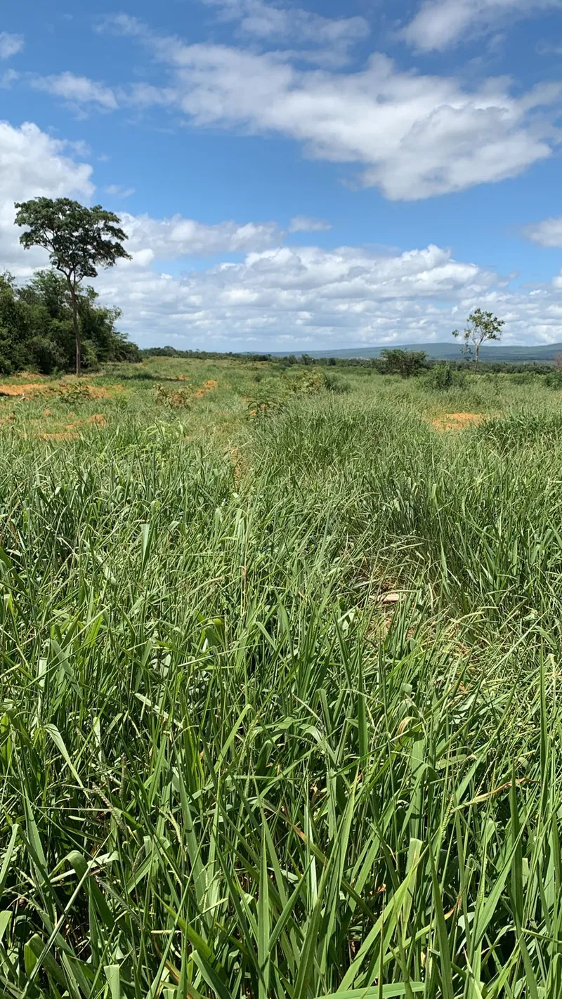 Fazenda em Wagner/Bahia — Ref 4ENTD1 — Imagem 13