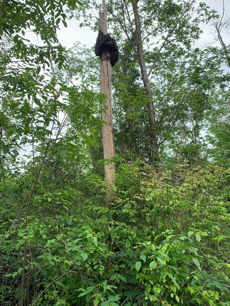 Fazenda em Wagner/Bahia — Ref 4ENTD1 — Imagem 17