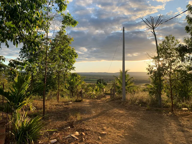 Fazenda em Wagner/Bahia — Ref 4ENTD1 — Imagem 8