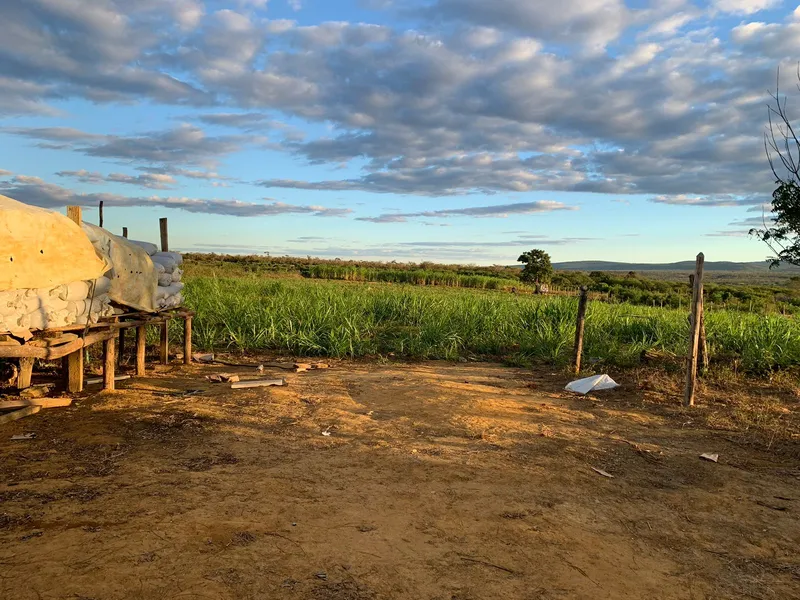 Fazenda em Wagner/Bahia — Ref 4ENTD1 — Imagem 3