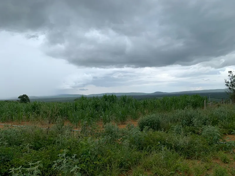 Fazenda em Wagner/Bahia — Ref 4ENTD1 — Imagem 14