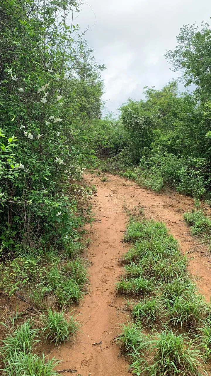 Fazenda em Wagner/Bahia — Ref 4ENTD1 — Imagem 15