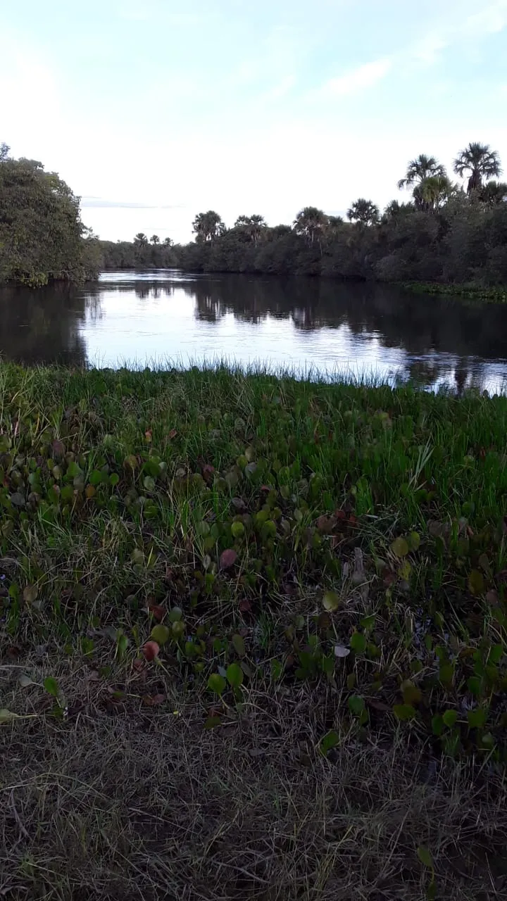 Fazenda em Barreiras/Bahia — Ref 0JJRE6 — Imagem 4