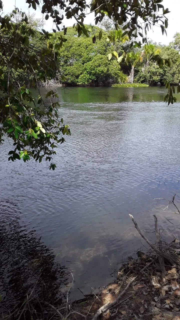 Fazenda em Barreiras/Bahia — Ref 0JJRE6 — Imagem 6